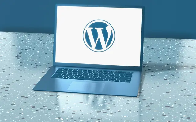WordPress mi Özel Yazılım mı?